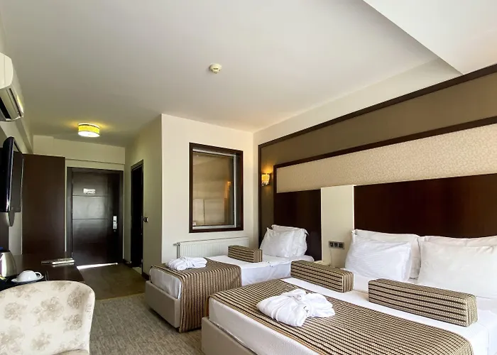 Lavin Hotel&spa 4* Denizli (Denizli)
