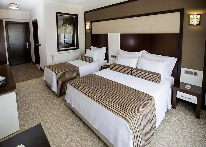 Hotel Lavin Hotel&spa