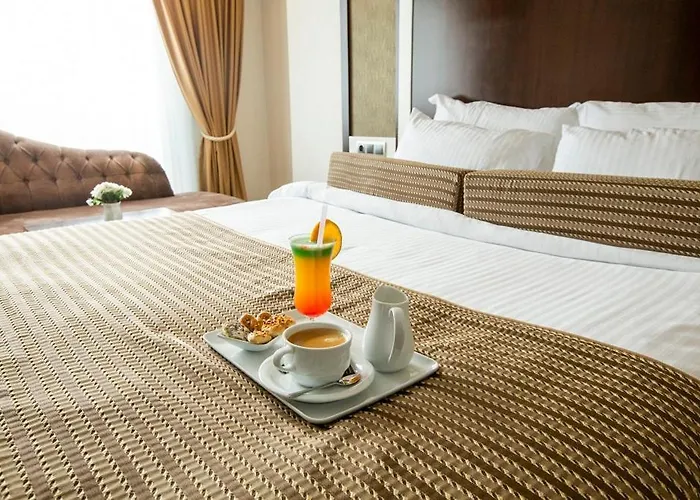 Lavin Hotel&spa